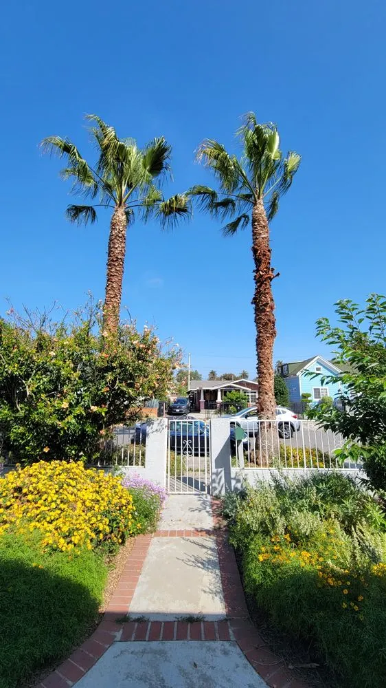 Custom garden landscaping in Gardena, CA - Palms Tree Care