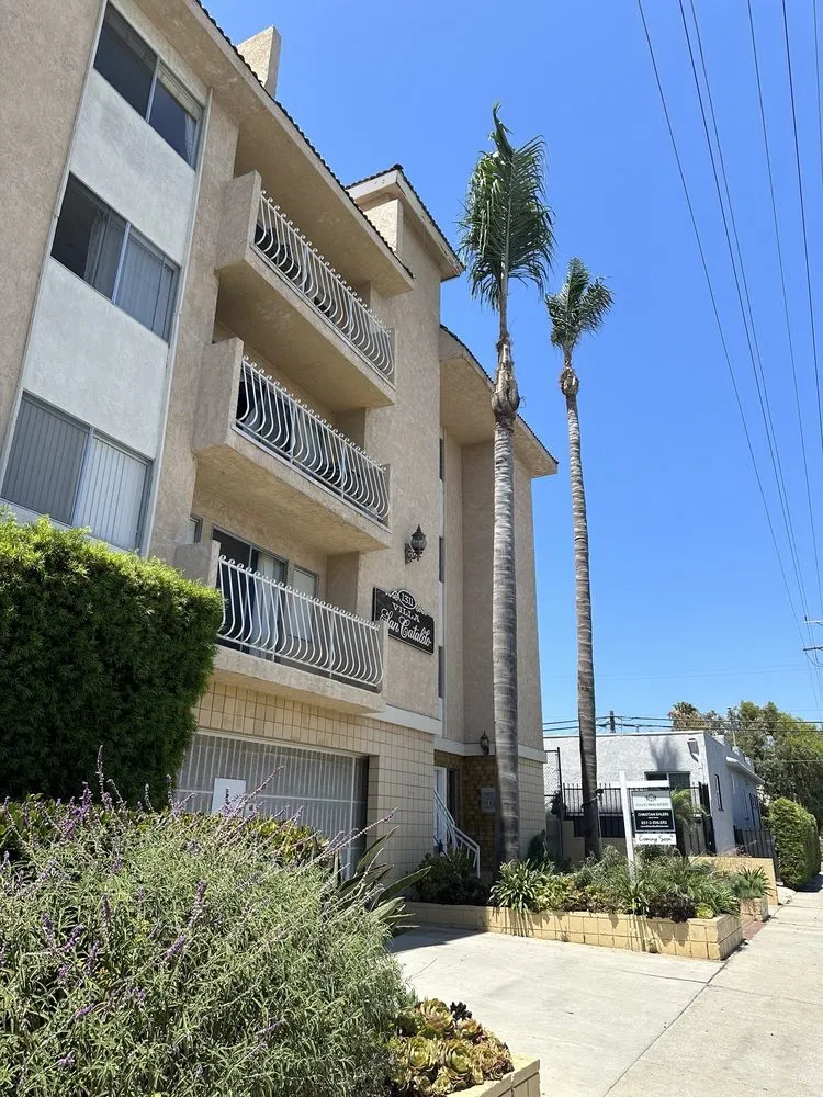 Affordable yard cleanup service for residential properties in Gardena, CA by Palms Tree Care