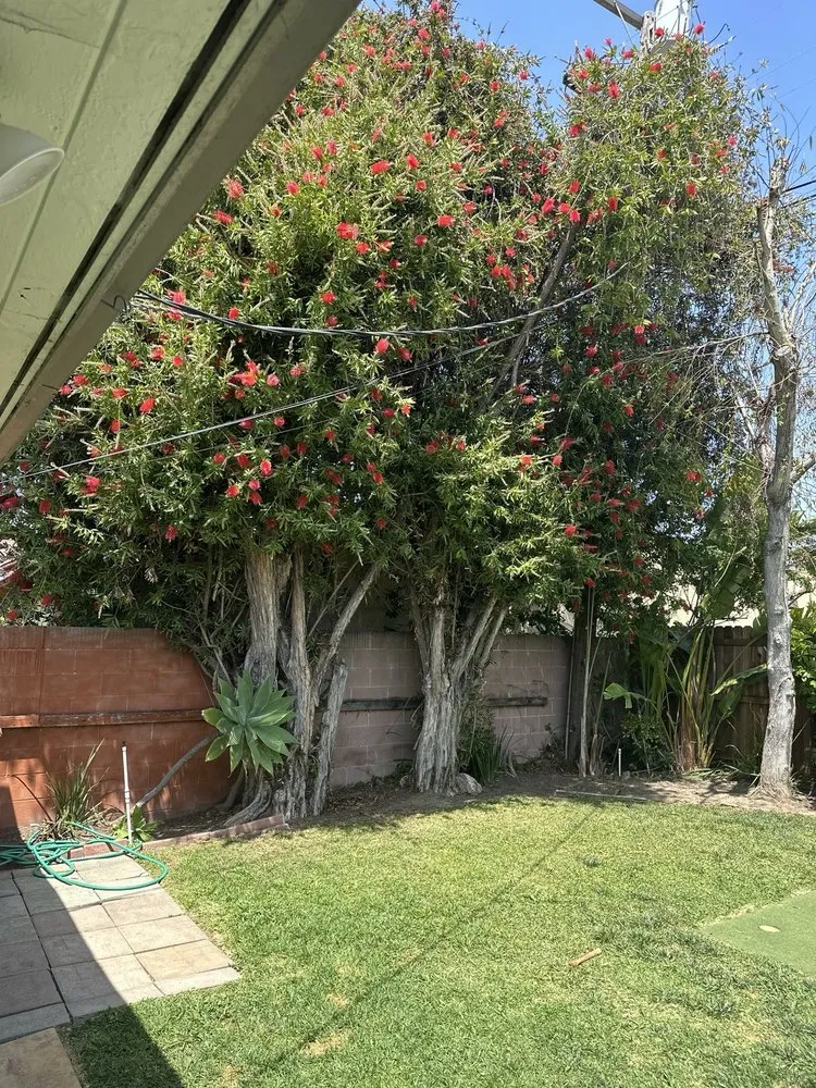 Custom lawn mowing service experts serving Gardena, CA - Palms Tree Care