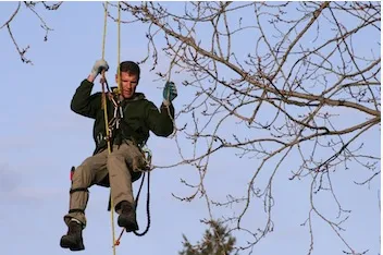 Trusted landscape design in Deer Park, WA by Palms Tree Service & Landscaping