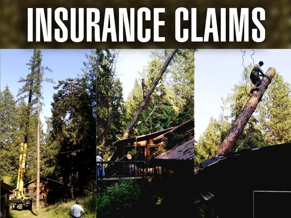 Reliable yard maintenance experts serving Deer Park, WA - Palms Tree Service & Landscaping