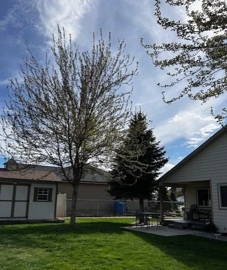 Reliable landscaping services experts serving Deer Park, WA - Palms Tree Service & Landscaping