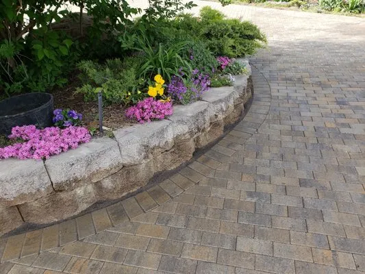 Palms Tree Service & Landscaping