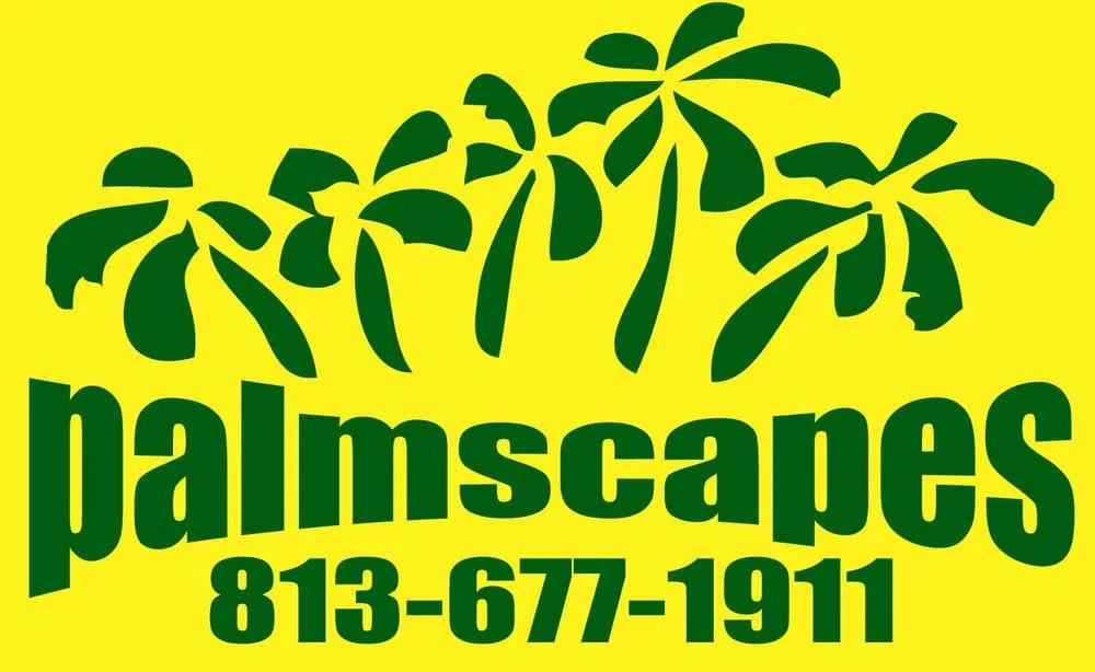 Local yard cleanup service experts serving Riverview, FL - Palmscapes