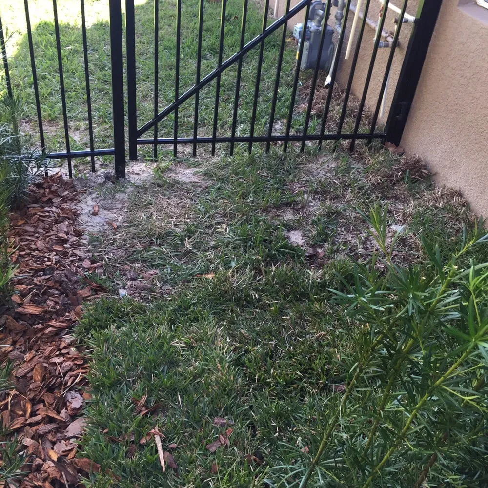 Custom residential landscaping near you across Riverview, FL - Palmscapes