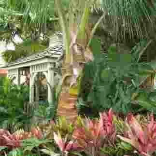 Reliable yard maintenance with custom design in Riverview, FL by Palmscapes