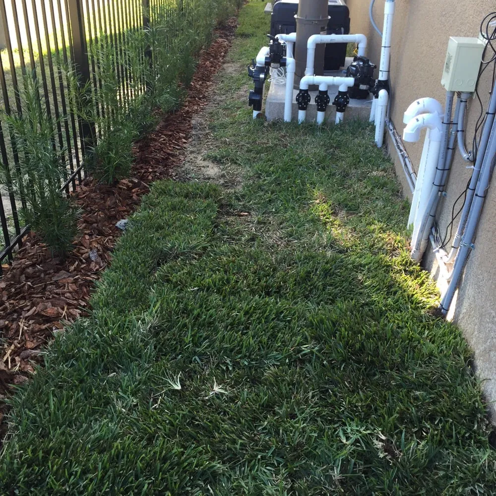 Expert landscape design experts serving Riverview, FL - Palmscapes