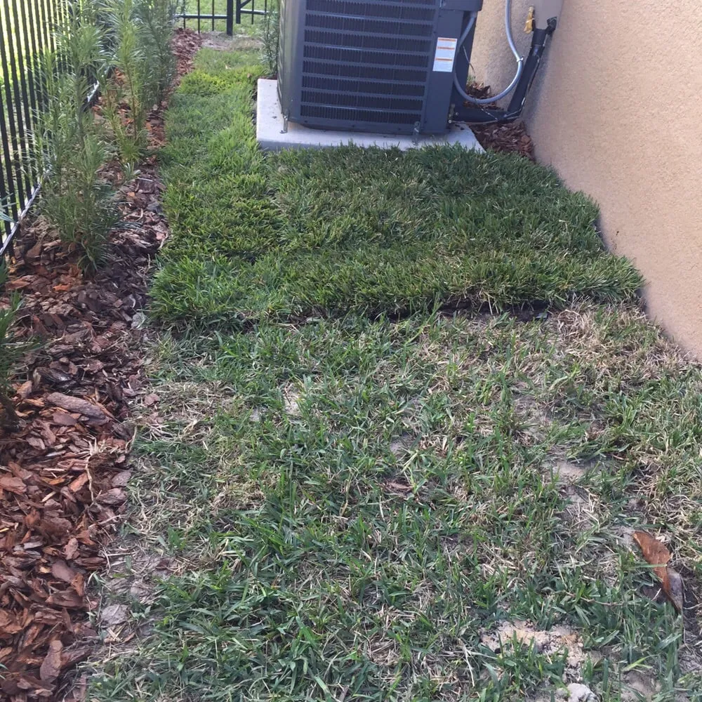 Affordable landscaping services in Riverview, FL by Palmscapes