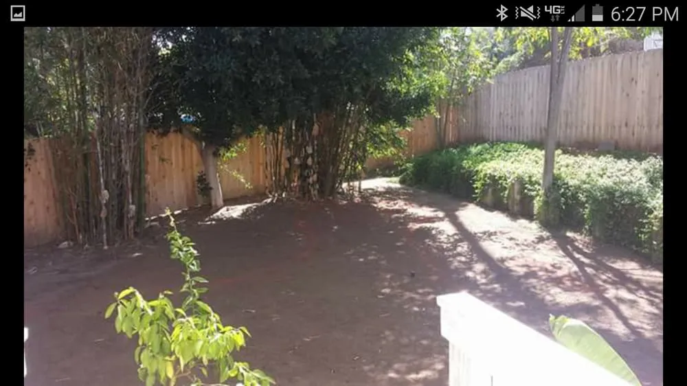 Local yard maintenance in San Diego, CA - Palo Verde Landscape