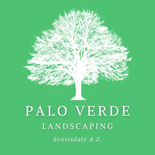 Local landscape design in Scottsdale, AZ by Palo Verde Landscaping