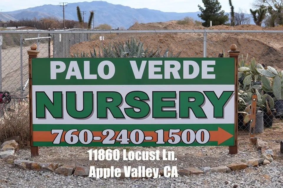 Custom landscape installation experts serving Apple Valley, CA - Palo Verde Nursery