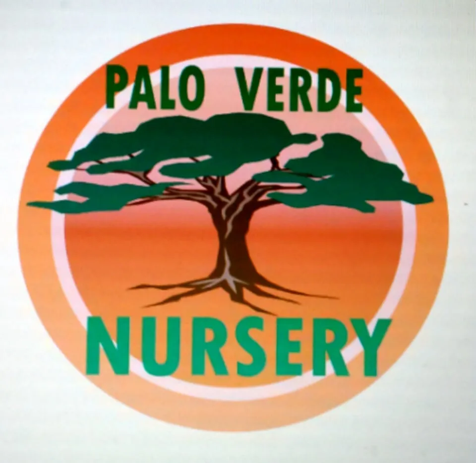 Reliable yard maintenance in Apple Valley, CA by Palo Verde Nursery