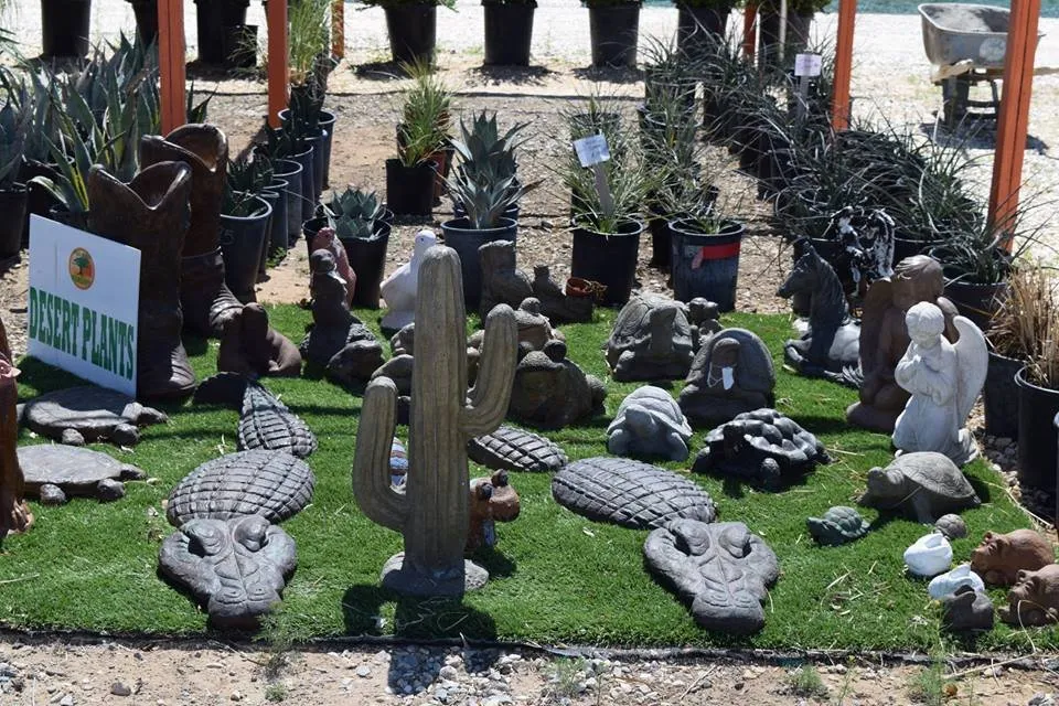 Expert garden landscaping near you across Apple Valley, CA - Palo Verde Nursery