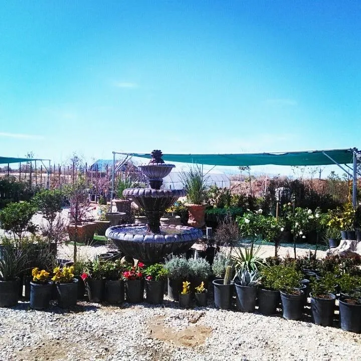 Trusted residential landscaping experts serving Apple Valley, CA - Palo Verde Nursery