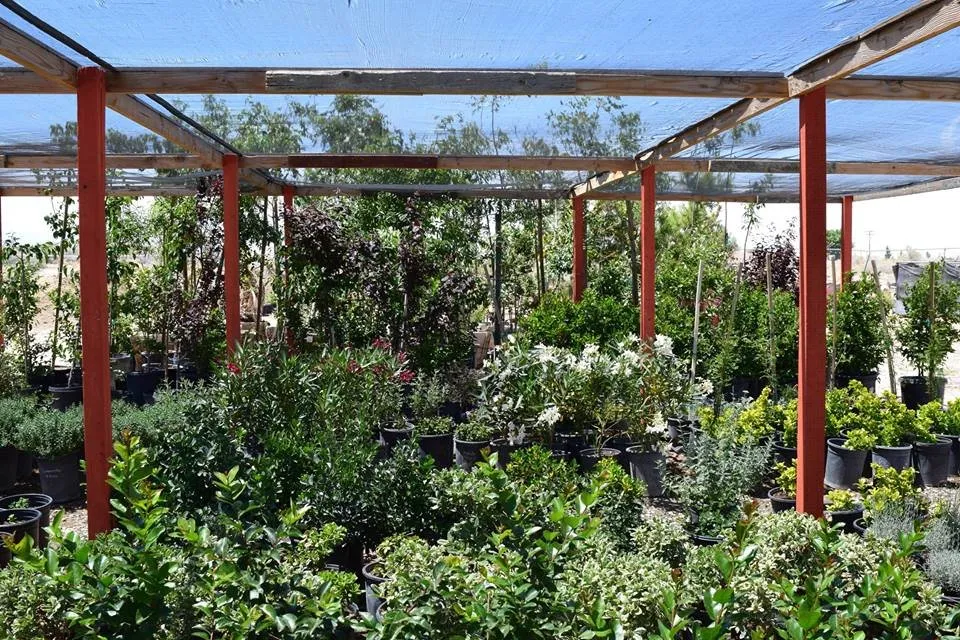 Professional residential landscaping for residential properties in Apple Valley, CA by Palo Verde Nursery