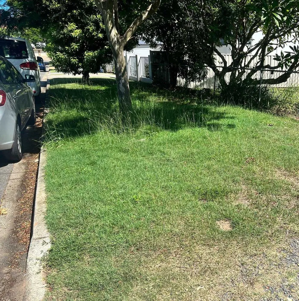 Trusted landscaping services experts serving Honolulu, HI - Palolo Lawn Care