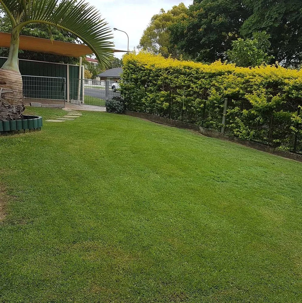 Professional landscaping services in Honolulu, HI by Palolo Lawn Care