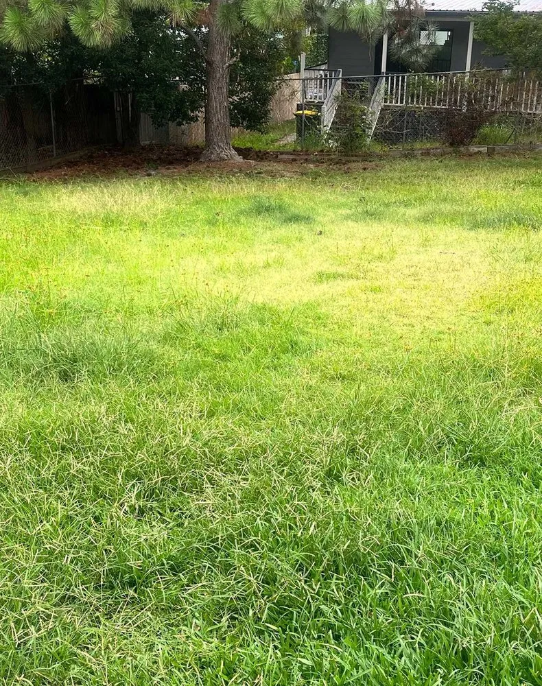 Trusted garden landscaping experts serving Honolulu, HI - Palolo Lawn Care