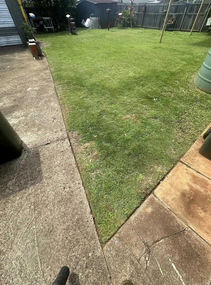 Top-rated landscape design in Honolulu, HI - Palolo Lawn Care