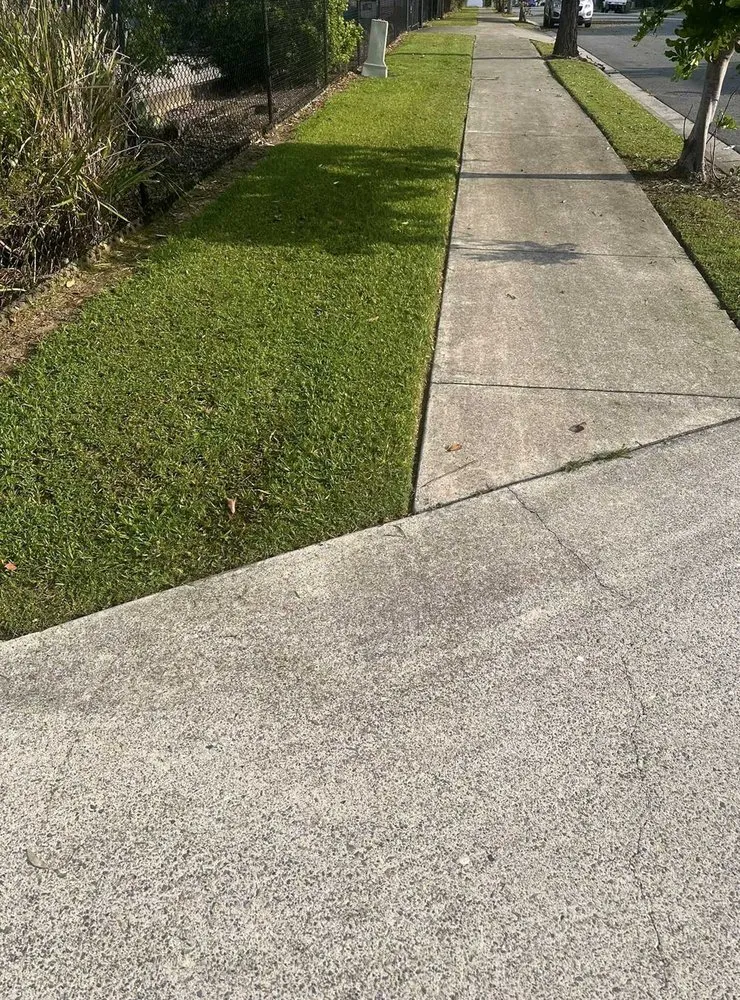 Affordable landscape installation in Honolulu, HI by Palolo Lawn Care