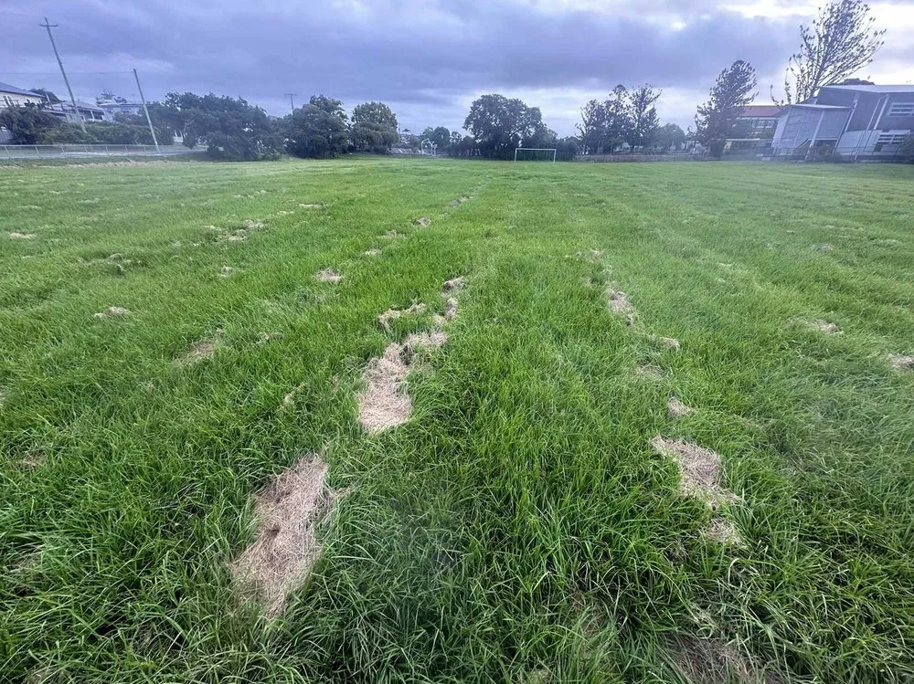 Trusted landscape design for year-round maintenance across Honolulu, HI - Palolo Lawn Care