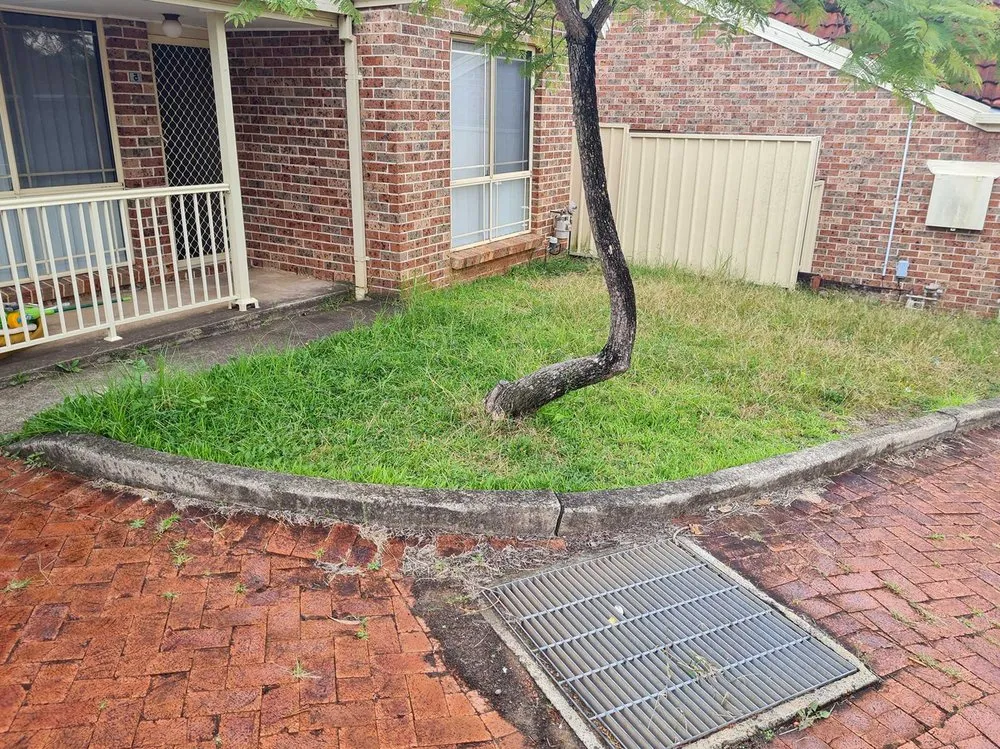 Custom yard maintenance in Honolulu, HI - Palolo Lawn Care