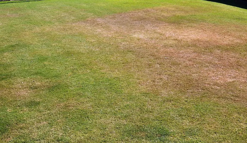 Trusted residential landscaping near you across Honolulu, HI - Palolo Lawn Care