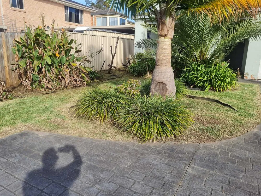 Trusted landscape installation in Honolulu, HI by Palolo Lawn Care