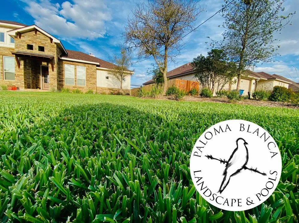 Reliable landscape installation in Floresville, TX by Paloma Blanca Landscape & Pools