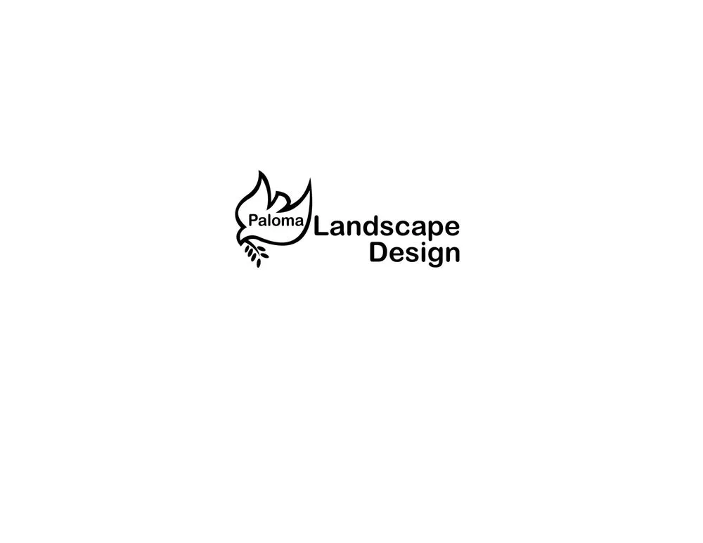 Affordable outdoor landscaping in Park Row, TX - Paloma Landscape Design