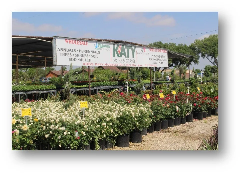 Affordable yard maintenance near you across Park Row, TX - Paloma Landscape Design