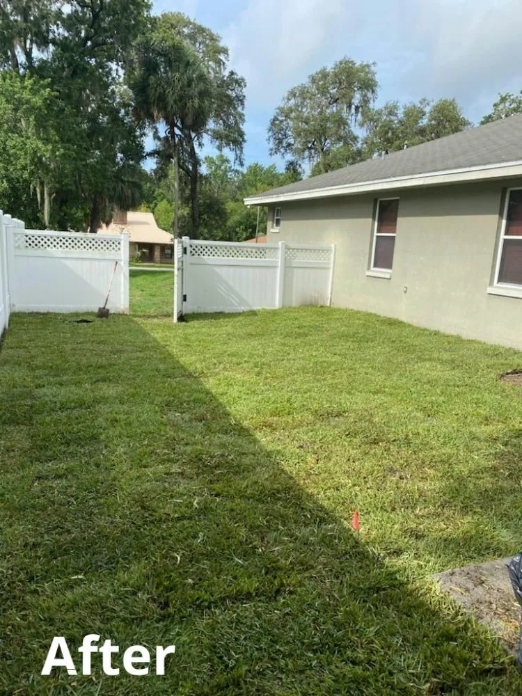 Local yard maintenance experts serving Lakeland, FL - Palomar Landscaping
