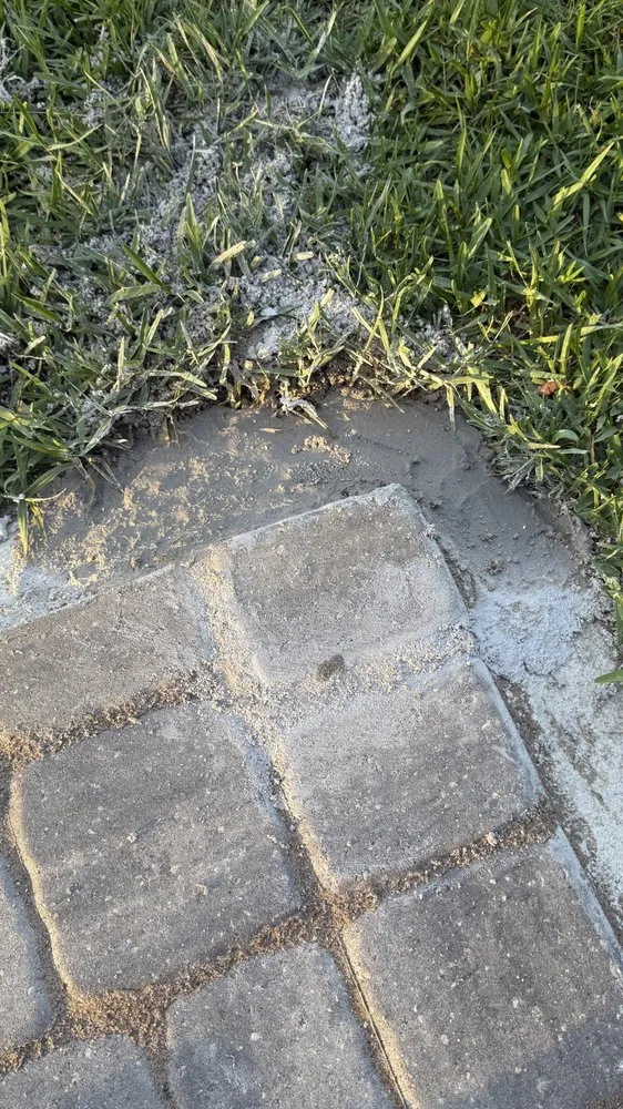 Top-rated lawn care service in Palm Coast, FL - Palomares Landscaping