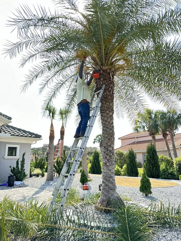 Expert garden landscaping in Palm Coast, FL by Palomares Landscaping