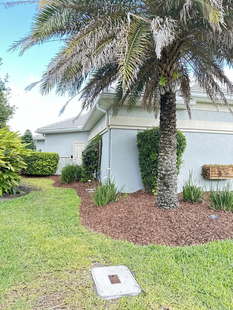 Trusted landscape installation in Palm Coast, FL by Palomares Landscaping