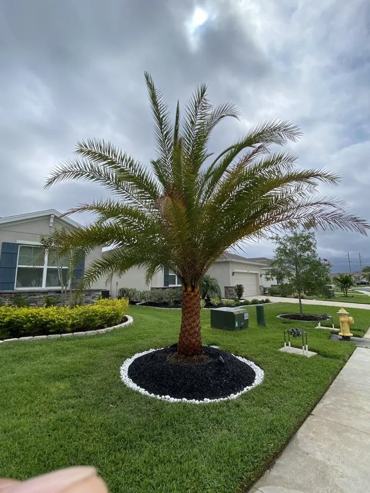 Reliable lawn care service in Palm Coast, FL by Palomares Landscaping
