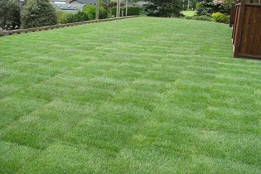 Local landscape installation experts serving Palm Coast, FL - Palomares Landscaping