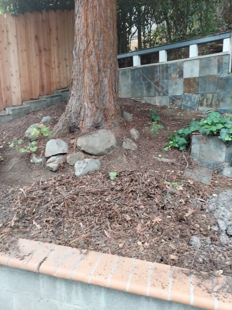 Affordable landscape installation near you in Union City, CA by Palomares Landscaping