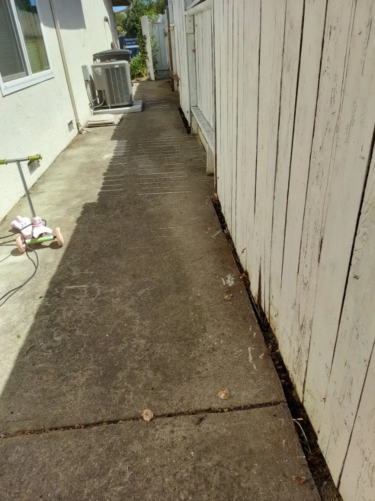 Professional residential landscaping in Union City, CA - Palomares Landscaping