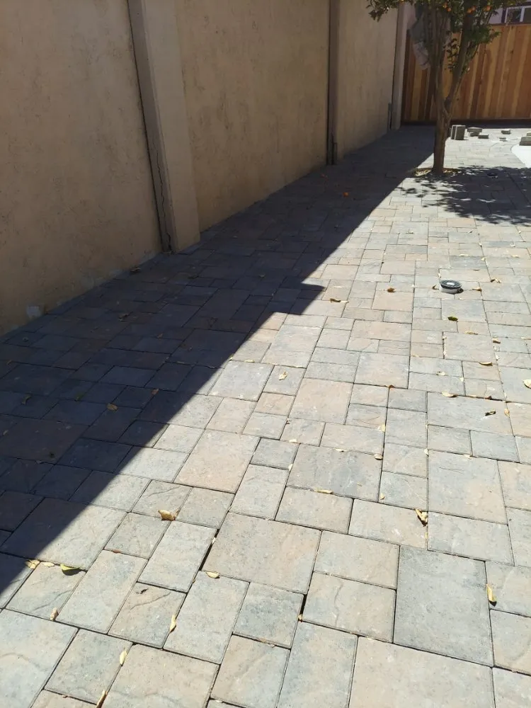 Local lawn mowing service for residential properties across Union City, CA - Palomares Landscaping