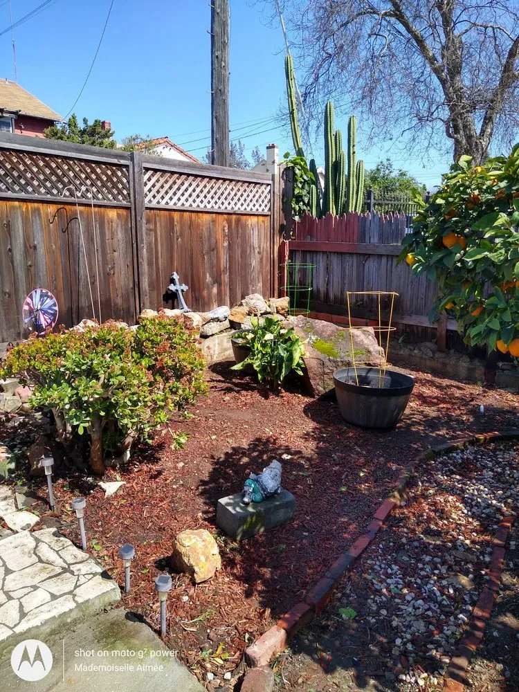 Professional garden landscaping for beautiful yards in Union City, CA by Palomares Landscaping