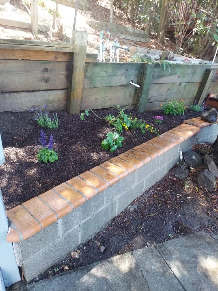 Top-rated outdoor landscaping for beautiful yards in Union City, CA by Palomares Landscaping