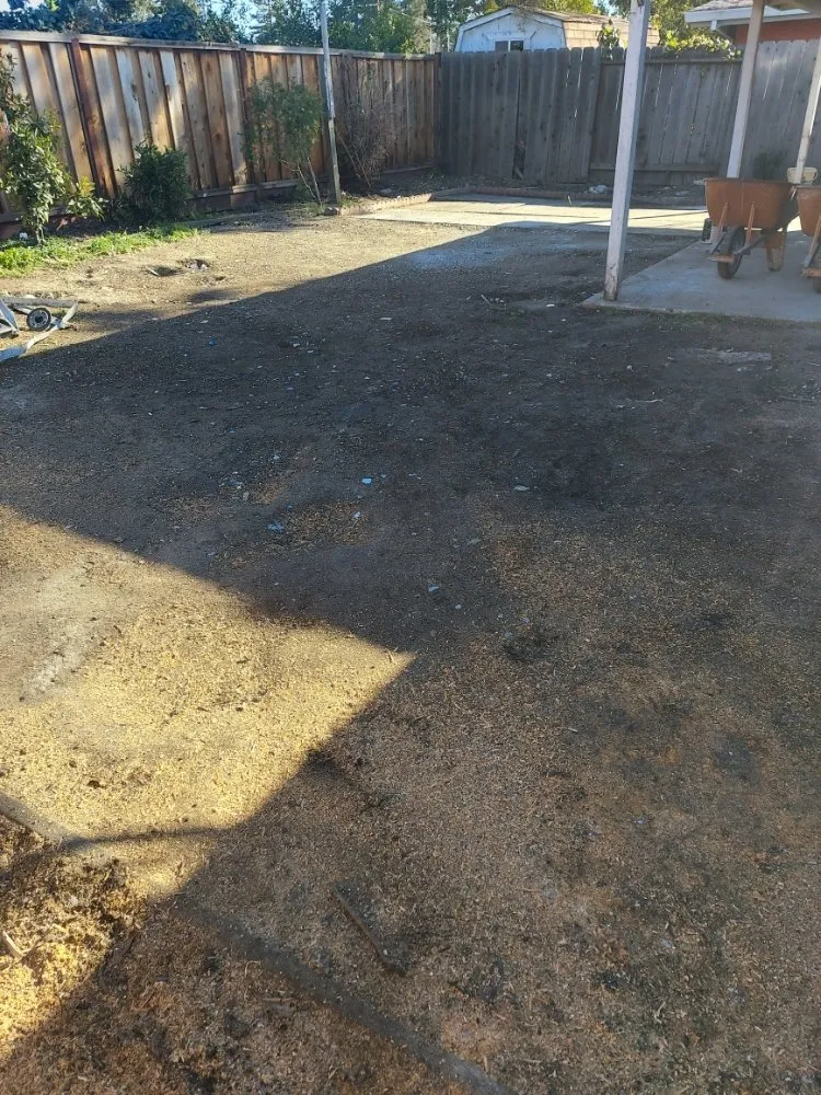 Top-rated yard cleanup service in Union City, CA - Palomares Landscaping