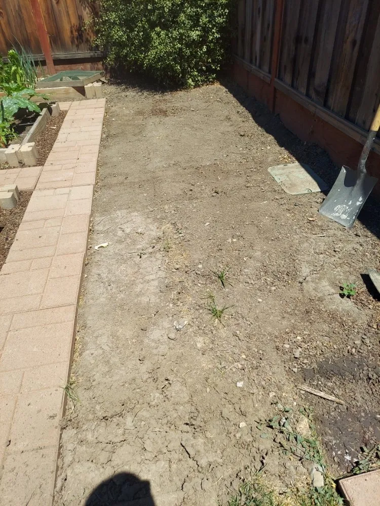 Professional lawn mowing service near you in Union City, CA by Palomares Landscaping