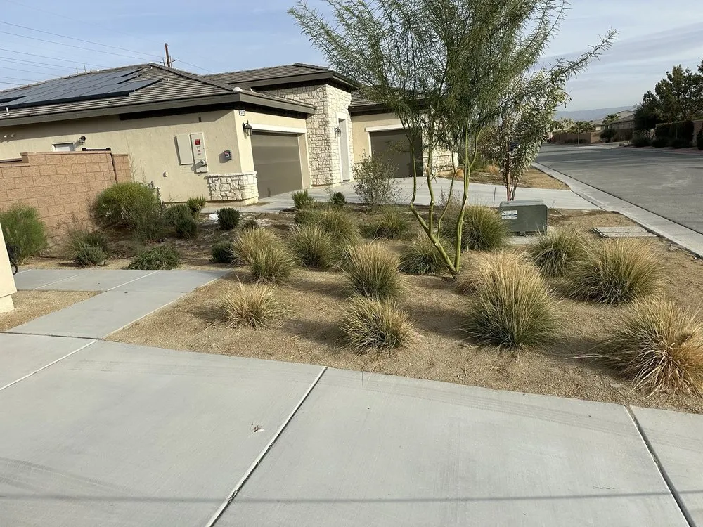 Affordable residential landscaping for homes across Indio, CA - Paloma’s Water and Dirt Construction