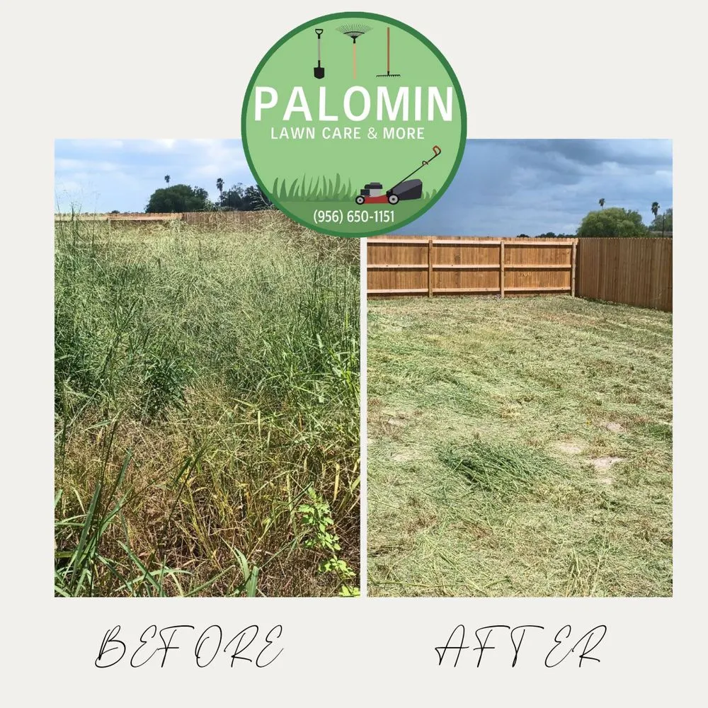 Professional landscape installation in Weslaco, TX - Palomin Lawn Care and More
