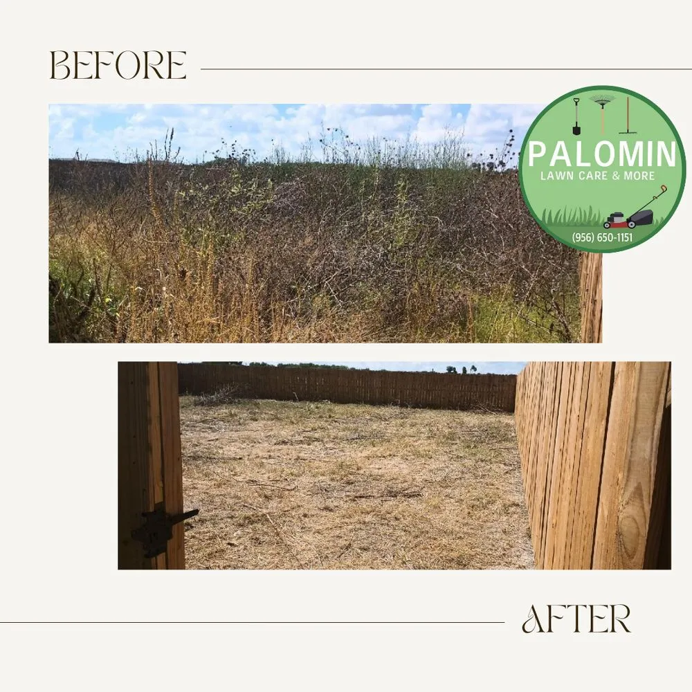 Local landscape design for year-round maintenance in Weslaco, TX by Palomin Lawn Care and More