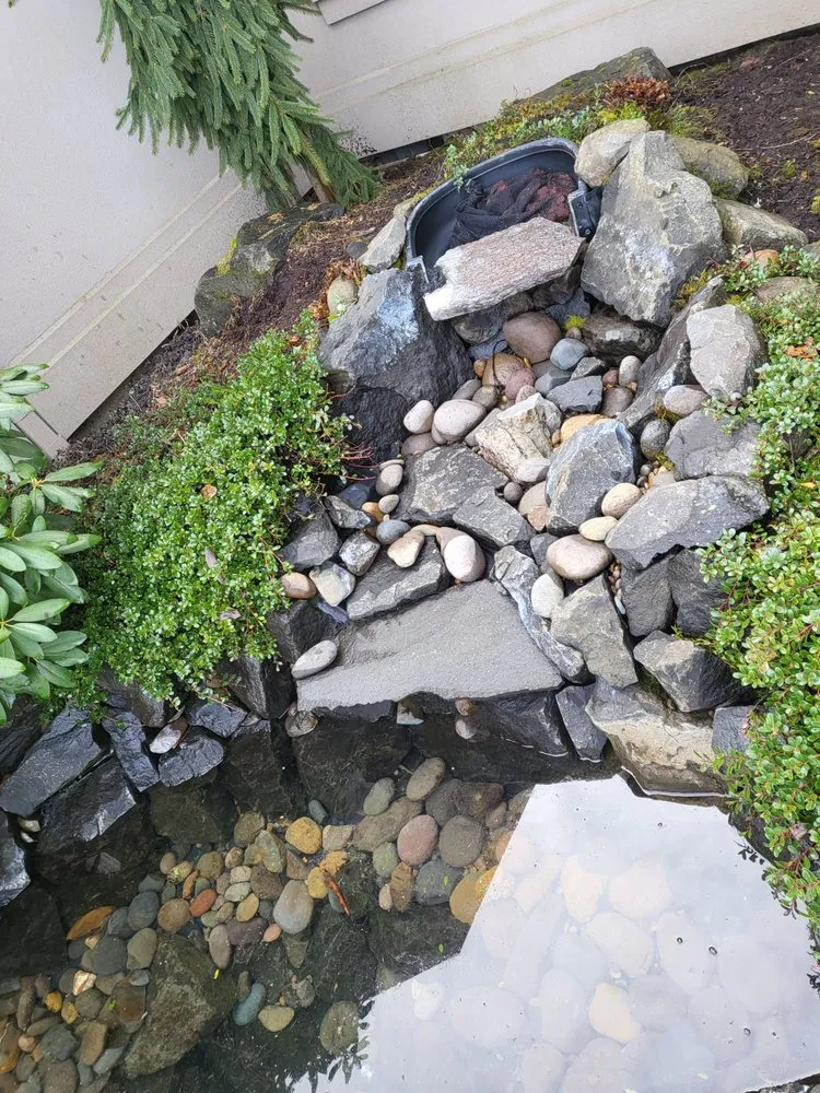 Top-rated landscaping services in SALEM, OR - Palominos Ponds and Yard Maintenance