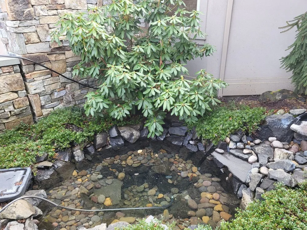 Affordable yard maintenance for beautiful yards in SALEM, OR by Palominos Ponds and Yard Maintenance