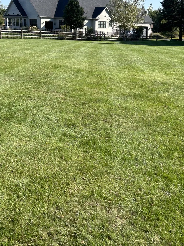 Custom yard maintenance for residential properties across Harvard, IL - Palos Altos Landscaping And Design